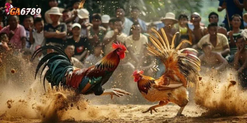 Lịch sử hình thành